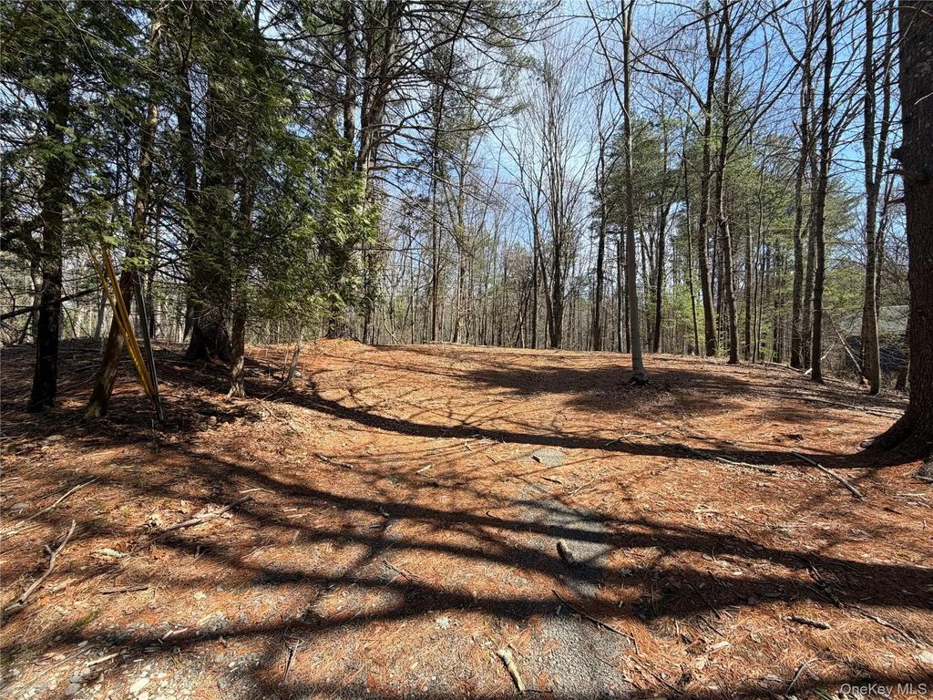 42 Yorkville Park Road, Bloomingburg