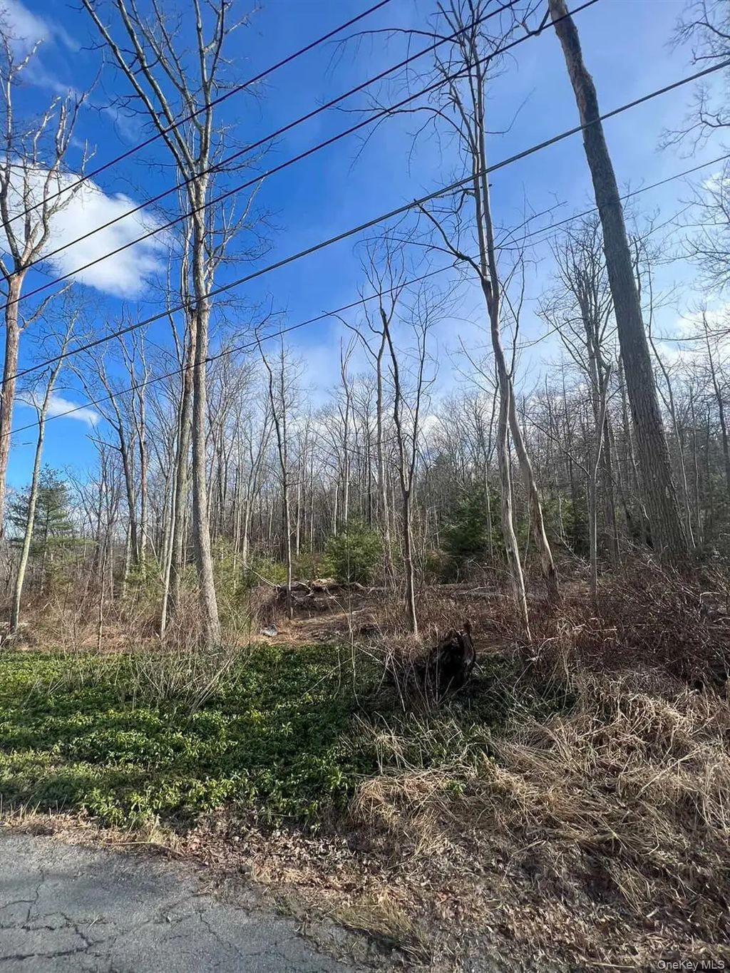 Laurel Trail, Wurtsboro