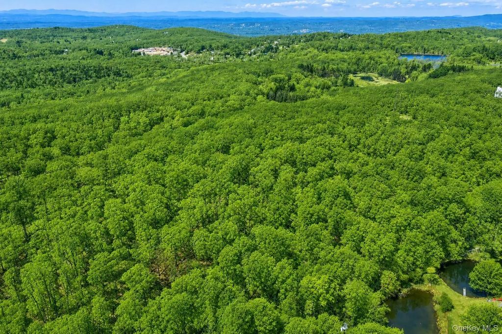 40 Meads Lane, Stormville