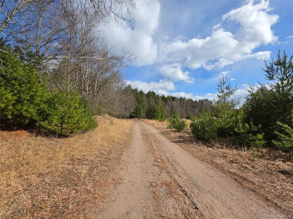 Tbd Bobwhite Trail, Mongaup Valley