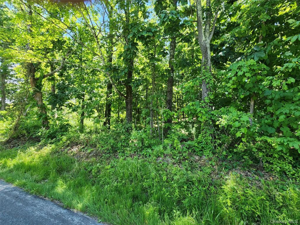 Irish Cape Road, Ellenville