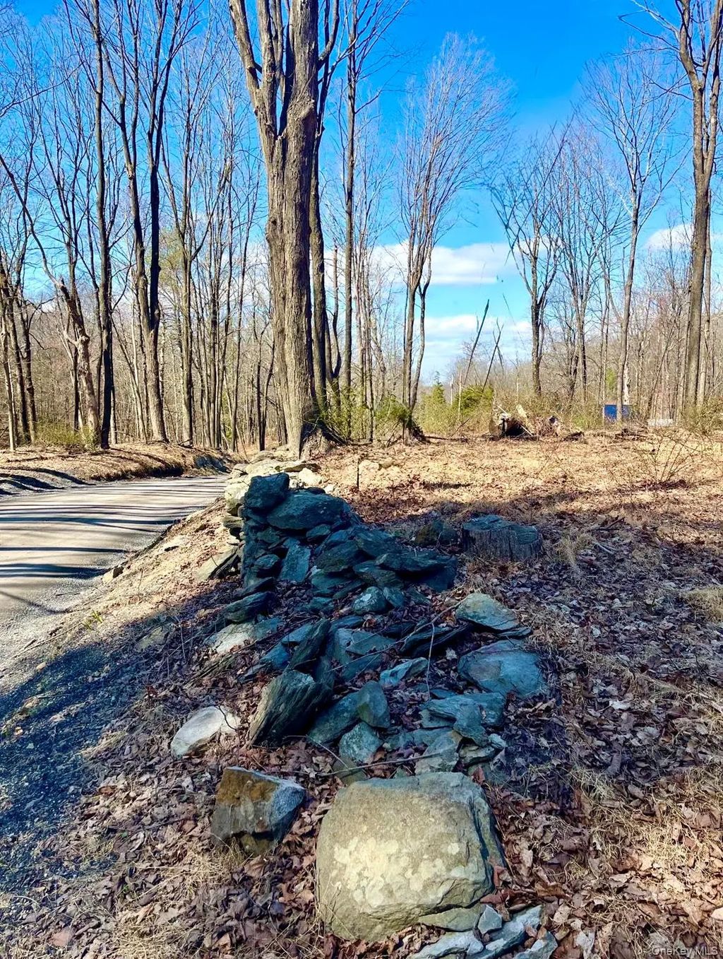 418 Browns Pond Road, Staatsburg