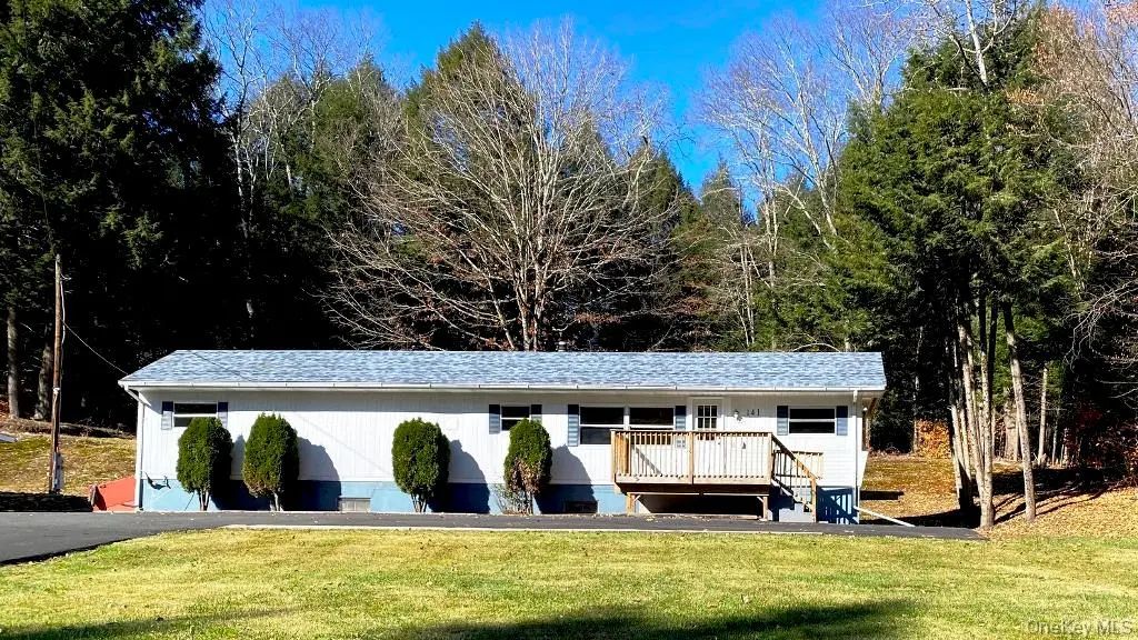 141 Gale Road, Mongaup Valley