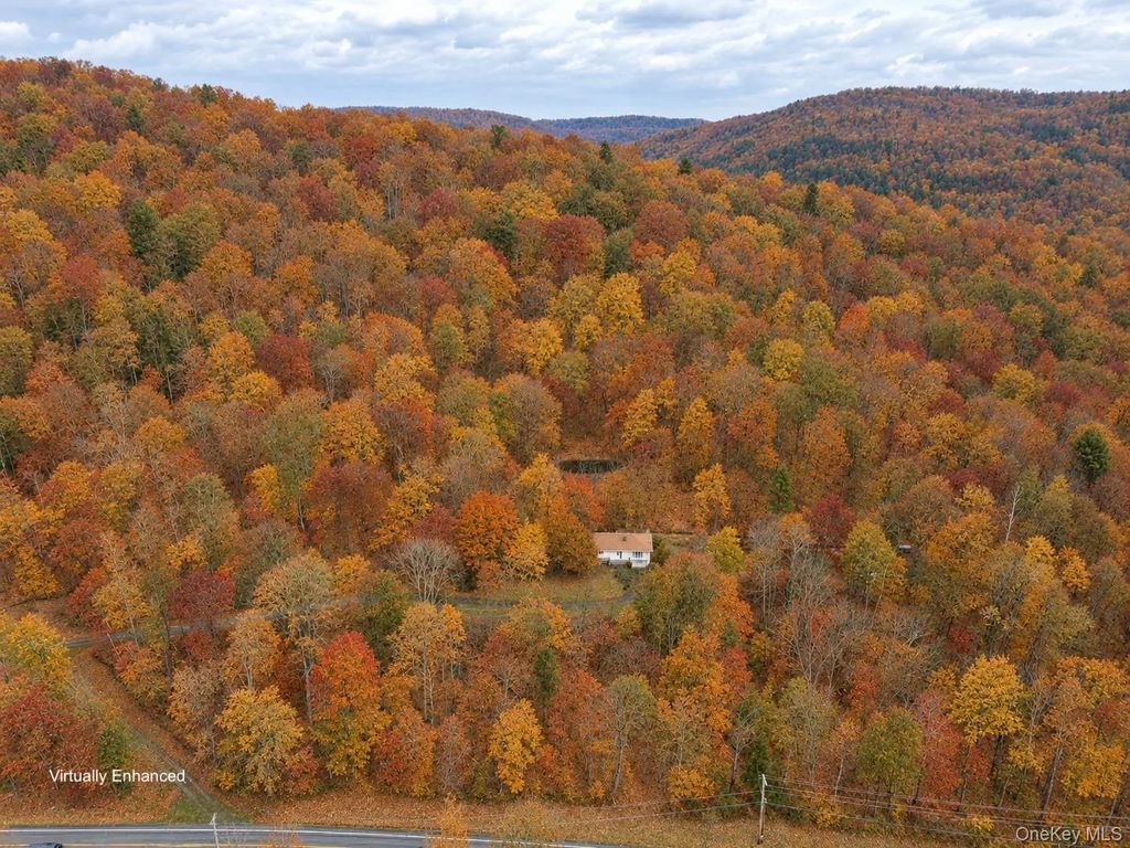 2220 Old Route 17, Roscoe