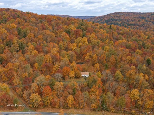 2220 Old Route 17, Roscoe