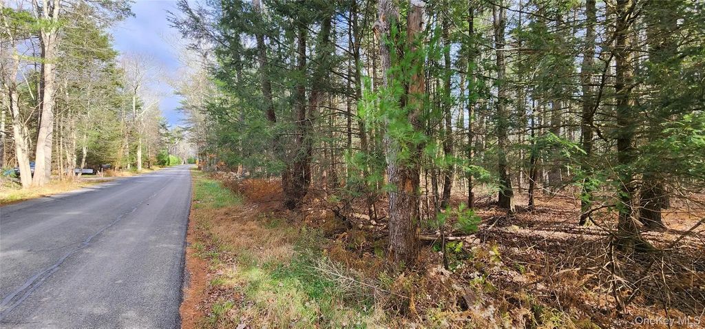 Mongaup Road, Monticello