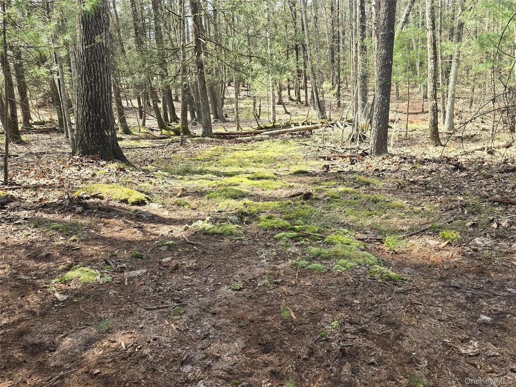 Lot 5 Evergreen Drive, Saugerties