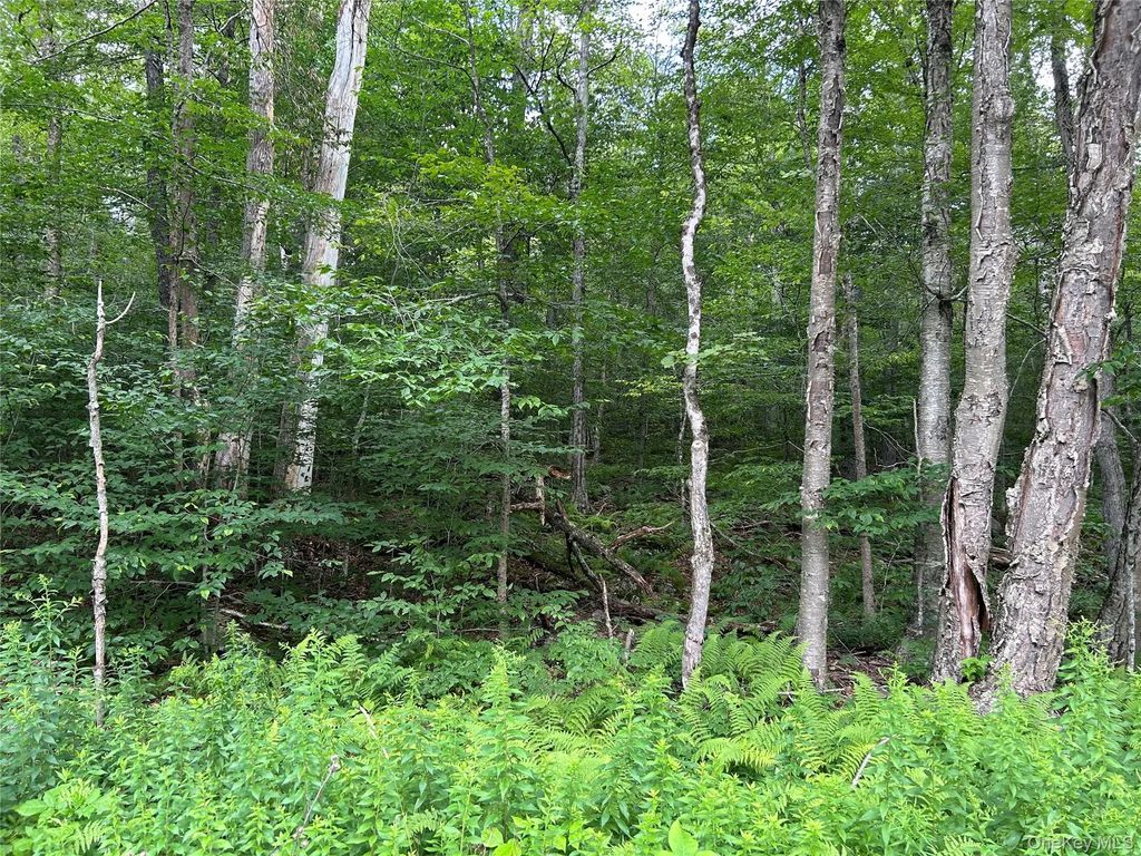 Frrost Valley Road, Claryville