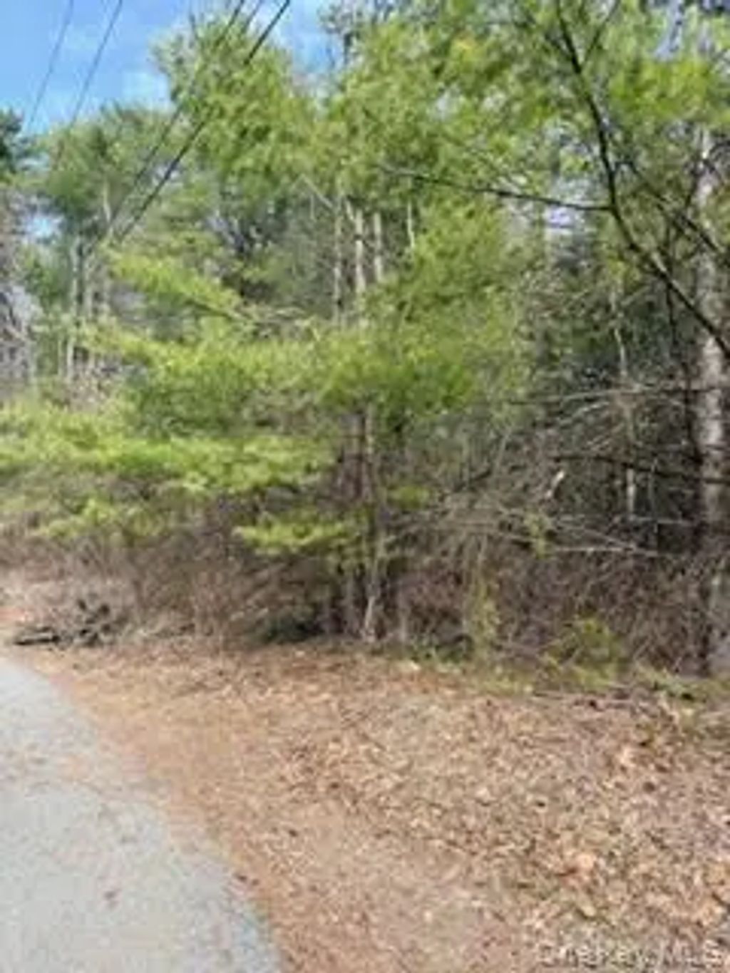 1304 Us Route 209, Cuddebackville