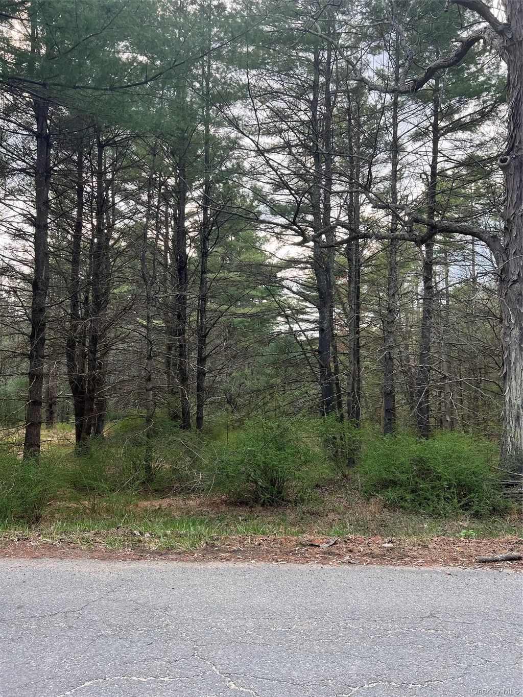 Upper Pine Kill Road, Wurtsboro