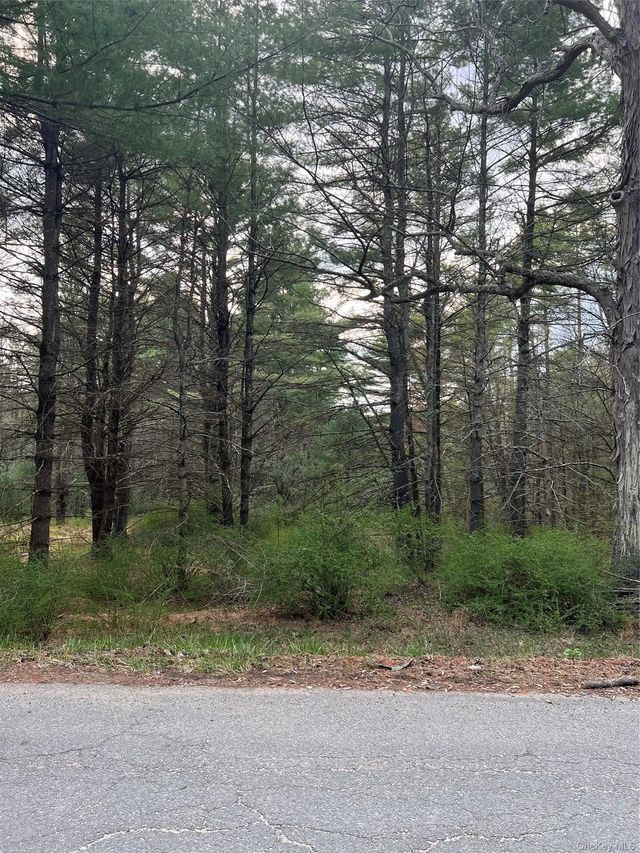 Upper Pine Kill Road, Wurtsboro