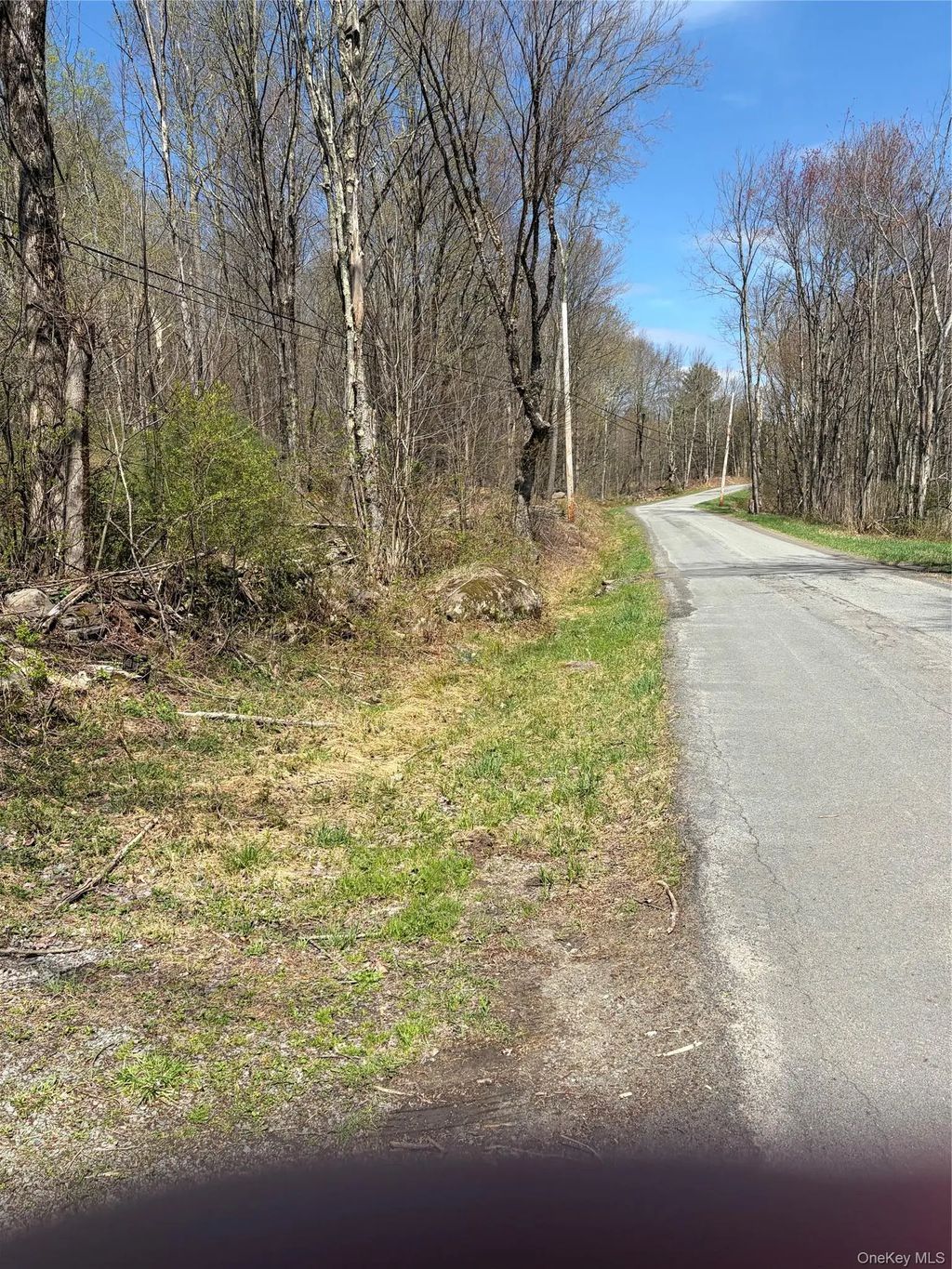 209 Stream Hollow, Fallsburg