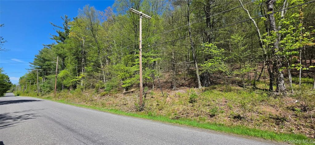 Hamilton Road, Monticello