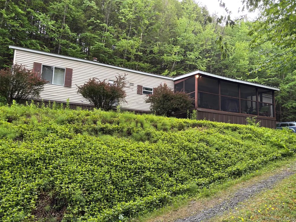46 Elm Hollow Road, Livingston Manor