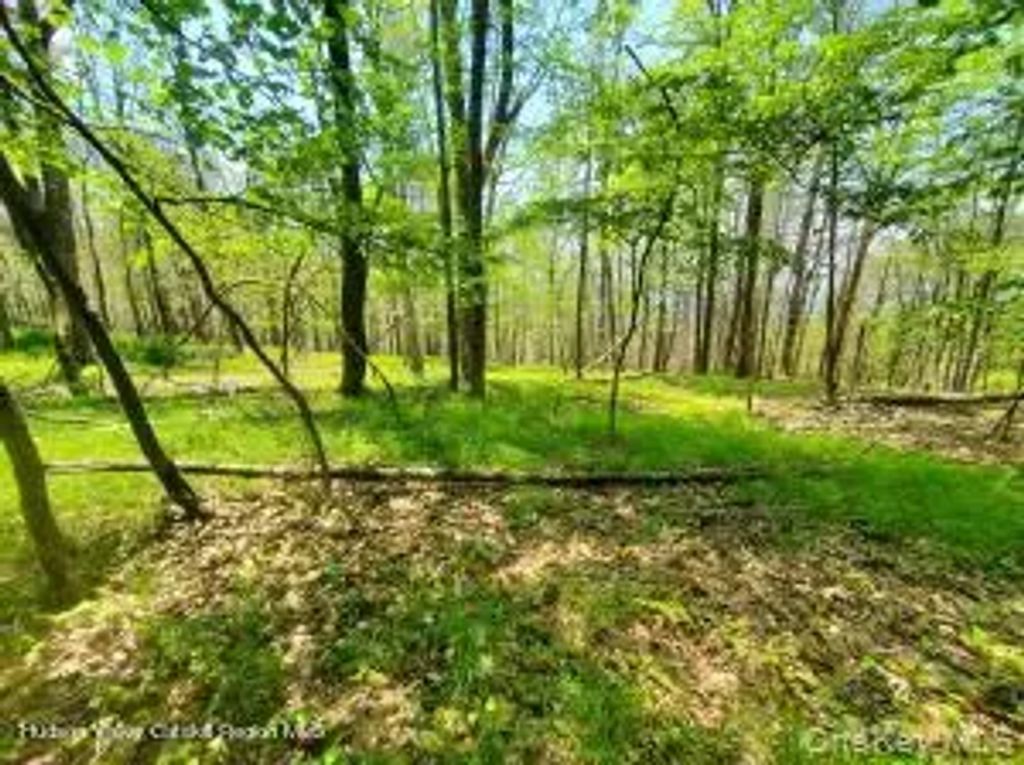 Tbd Piney Lane, Cragsmoor