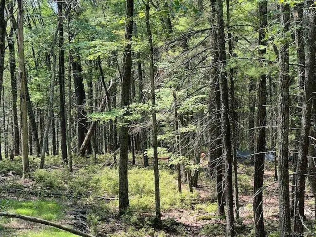 Lot 18 Hunczak Boulevard, Glen Spey