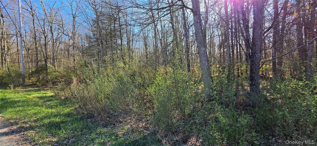 Lot 70 Cushetunk Drive, Cochecton