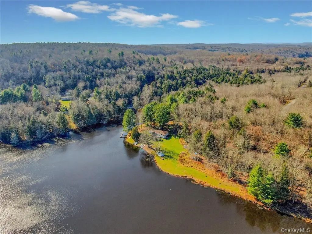 122 Jaketown Road, Swan Lake