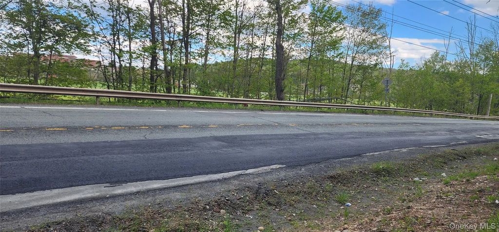 Rt-42, Fallsburg