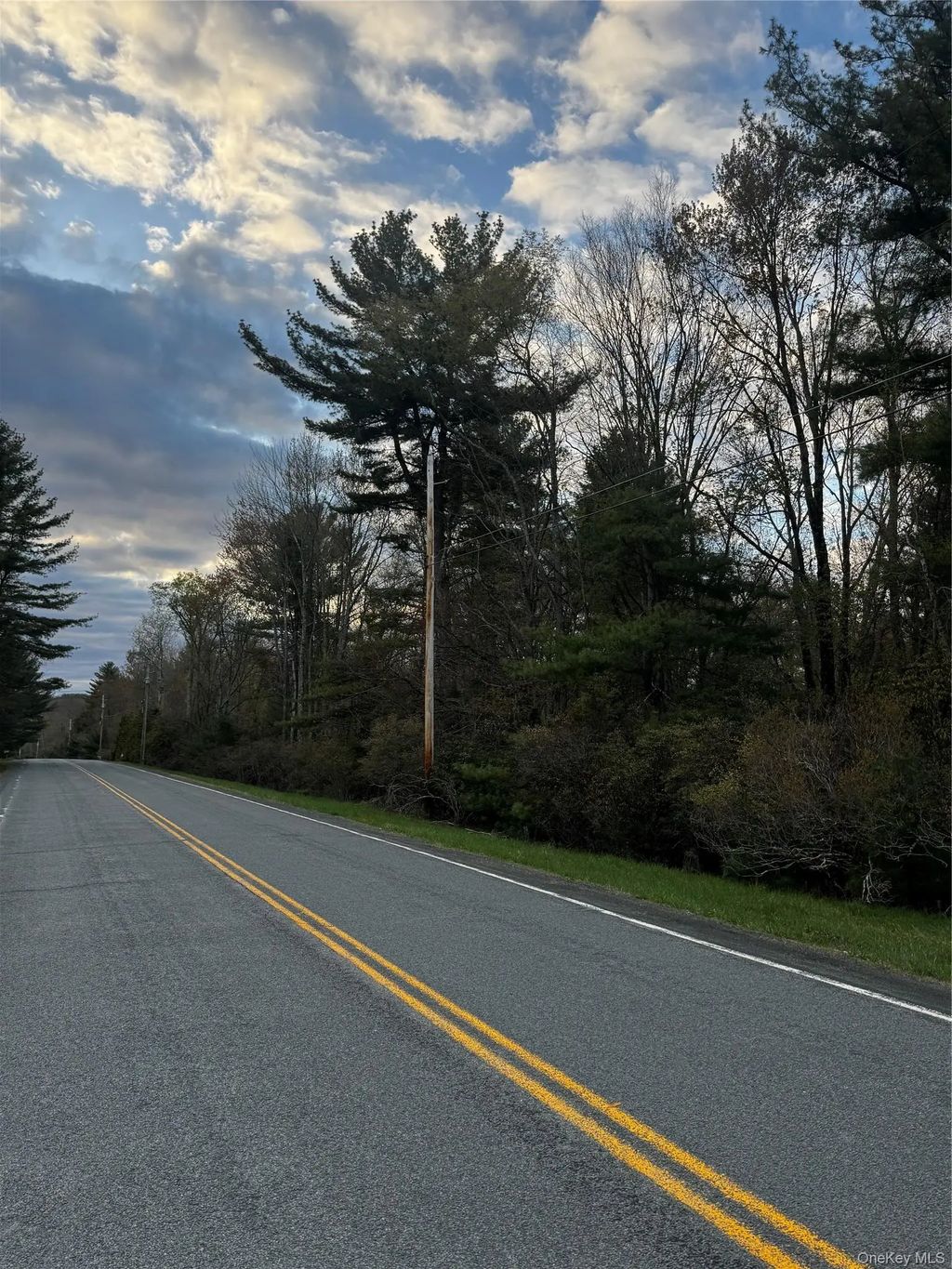 Tbd 000 Ulster Heights Road, Fallsburg