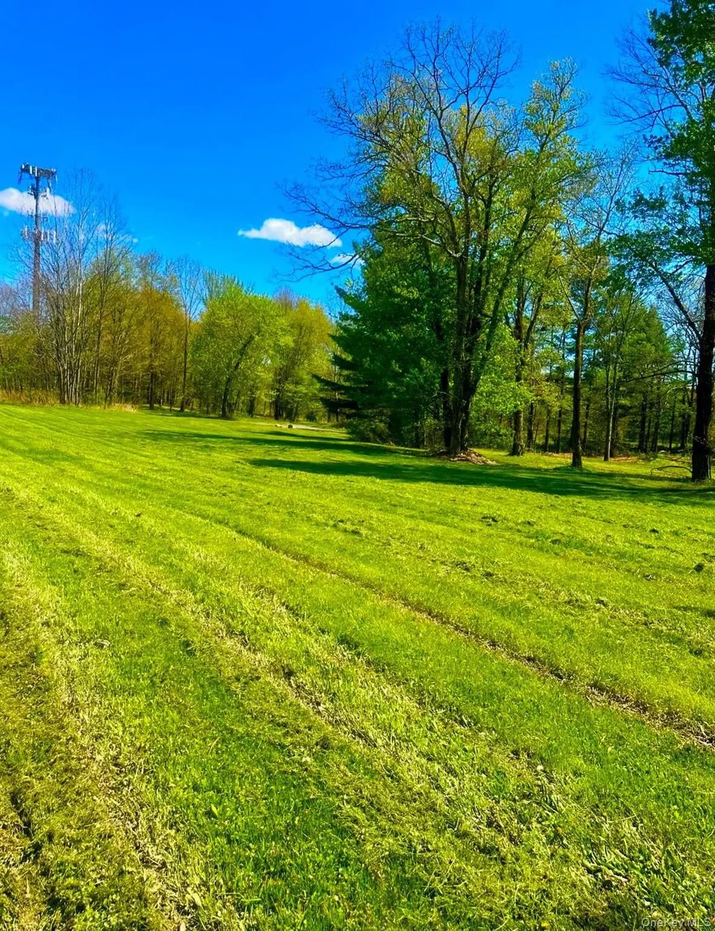 Tbd Lot#3 Quaker Street, Wallkill