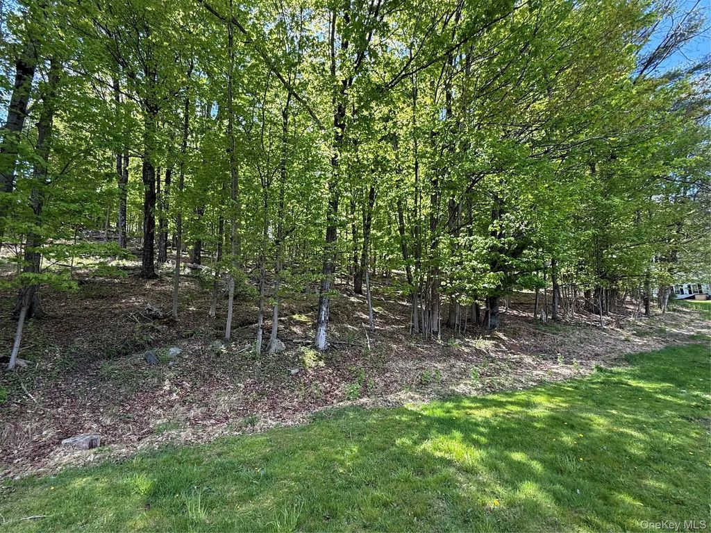 Westwood Avenue, Ellenville
