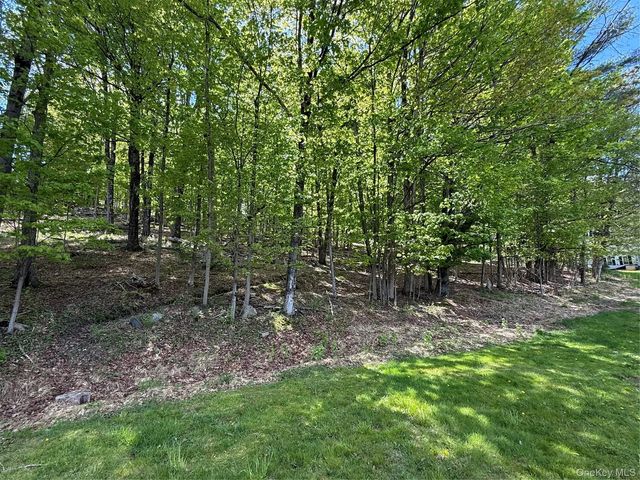 Westwood Avenue, Ellenville
