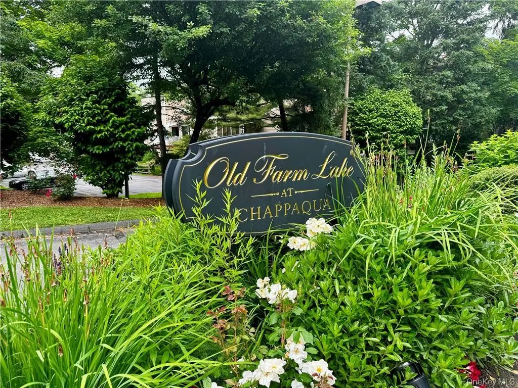 17 Rambling Brook Road, Chappaqua