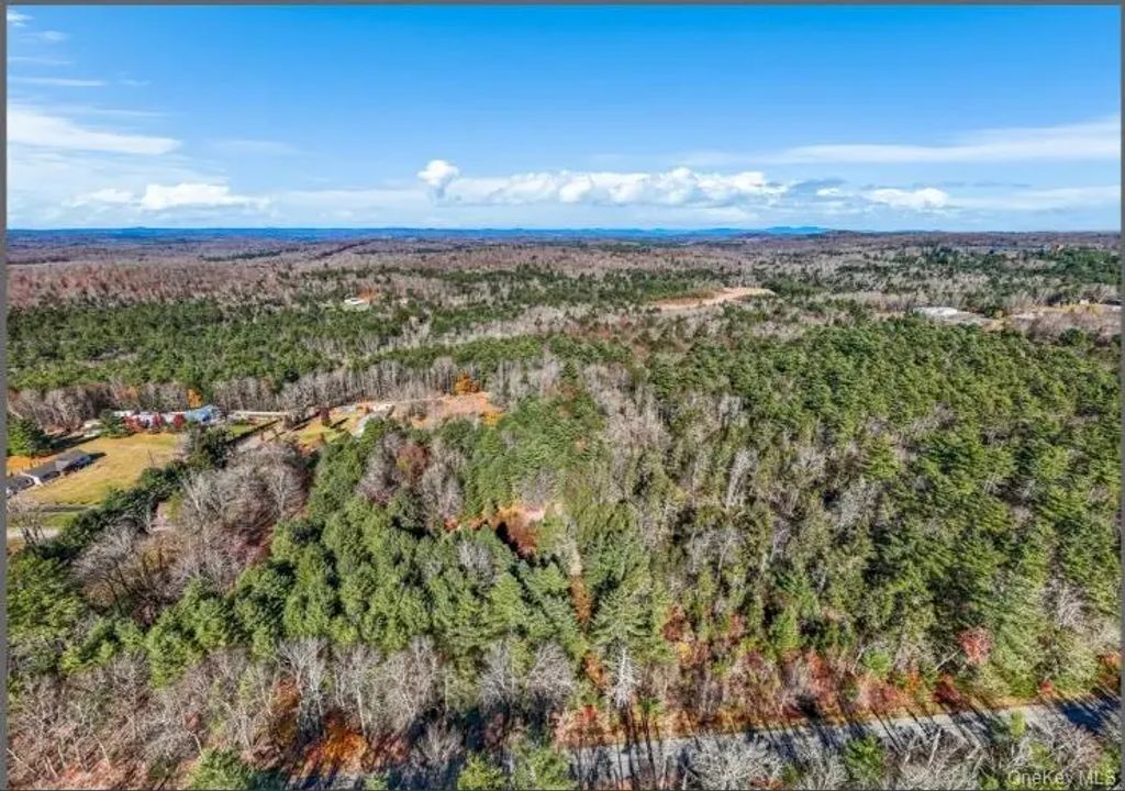 98 Mongaup Road, Monticello