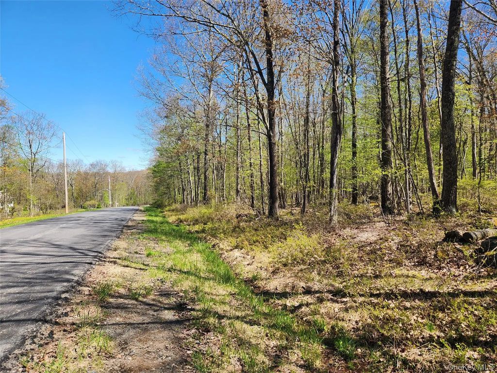 Lot 34 Lenni Lenape Road, Cochecton