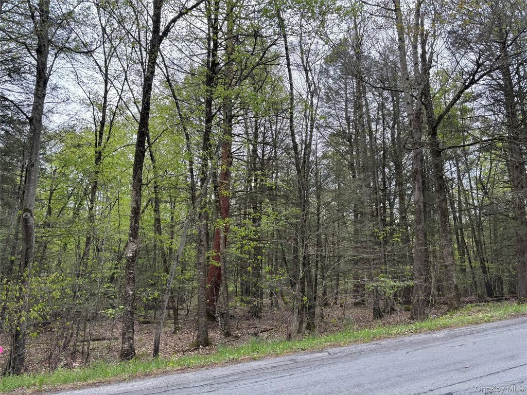 Braden Road, Mountain Dale