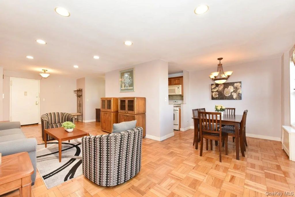4 Birchwood Court 1n, Mineola