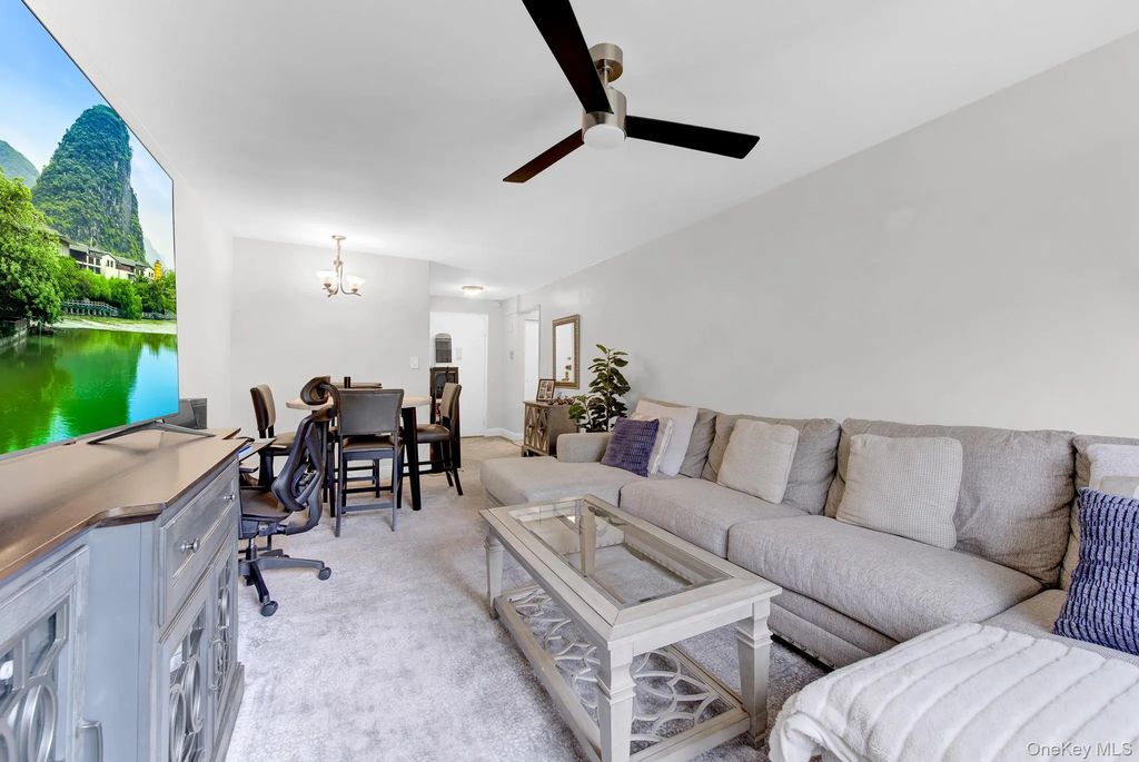 3 Birchwood Court 3h, Mineola