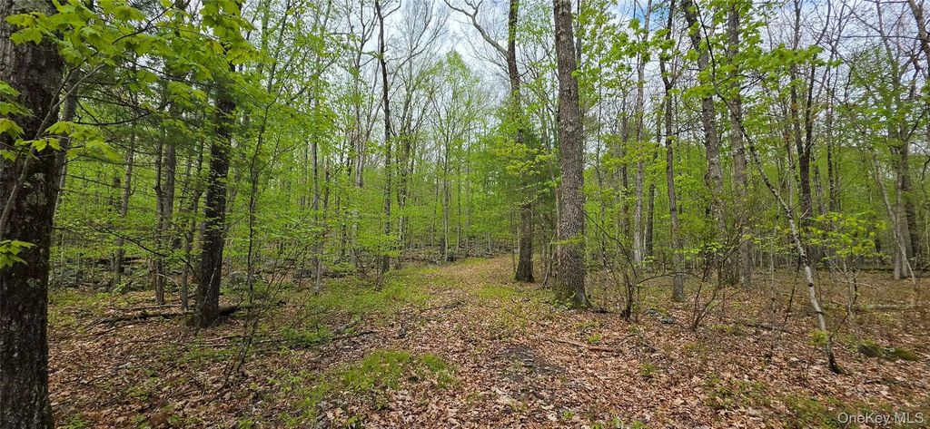 Lot 23.21 State Route 97, Narrowsburg