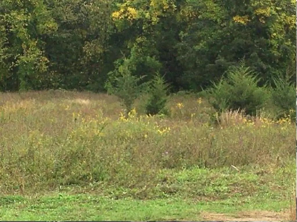1055 Route 82, Hopewell Junction