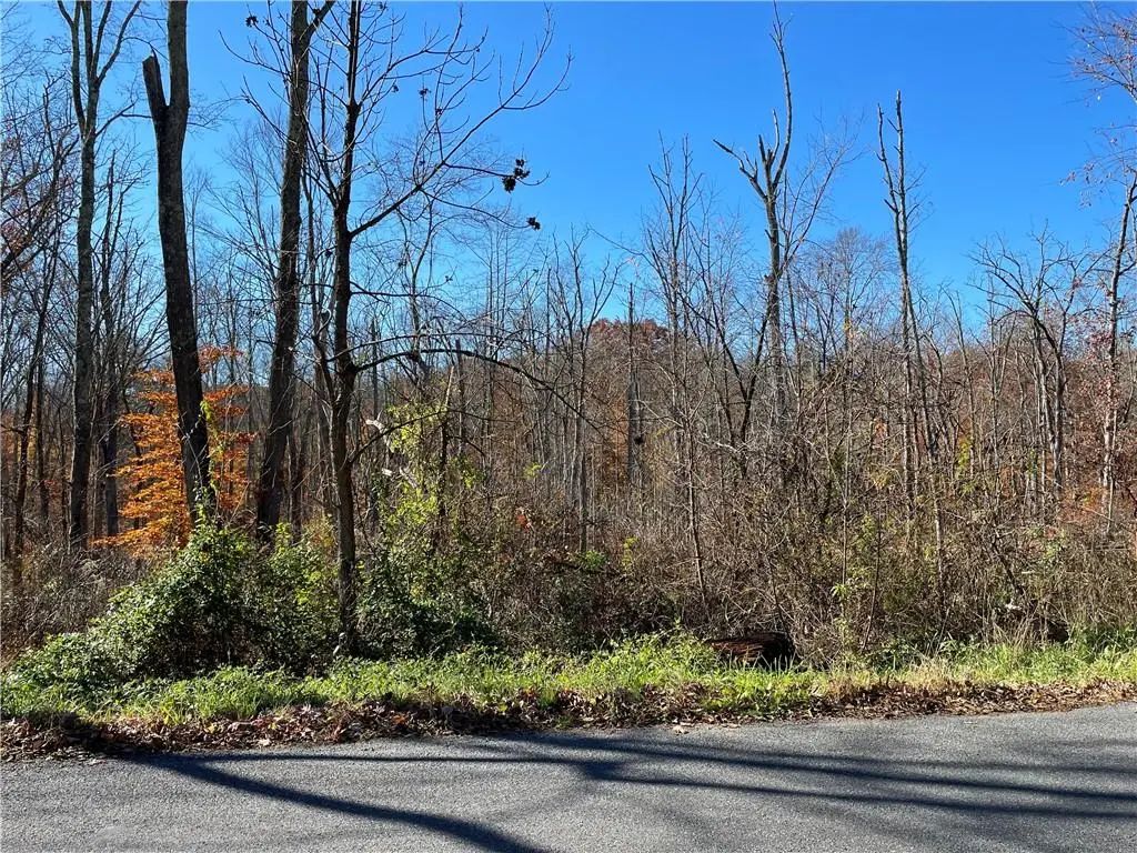 Lake Shore Drive, Pine Bush