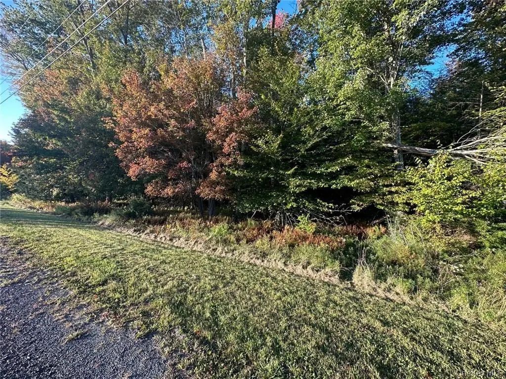 Ulster Heights Road, Fallsburg
