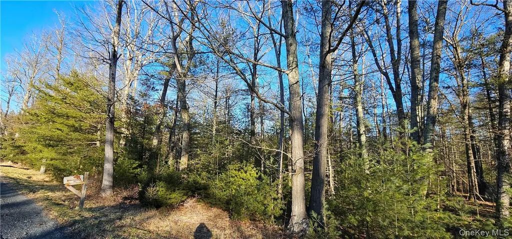 Lot 57.1 Yulan-barryville Road, Barryville