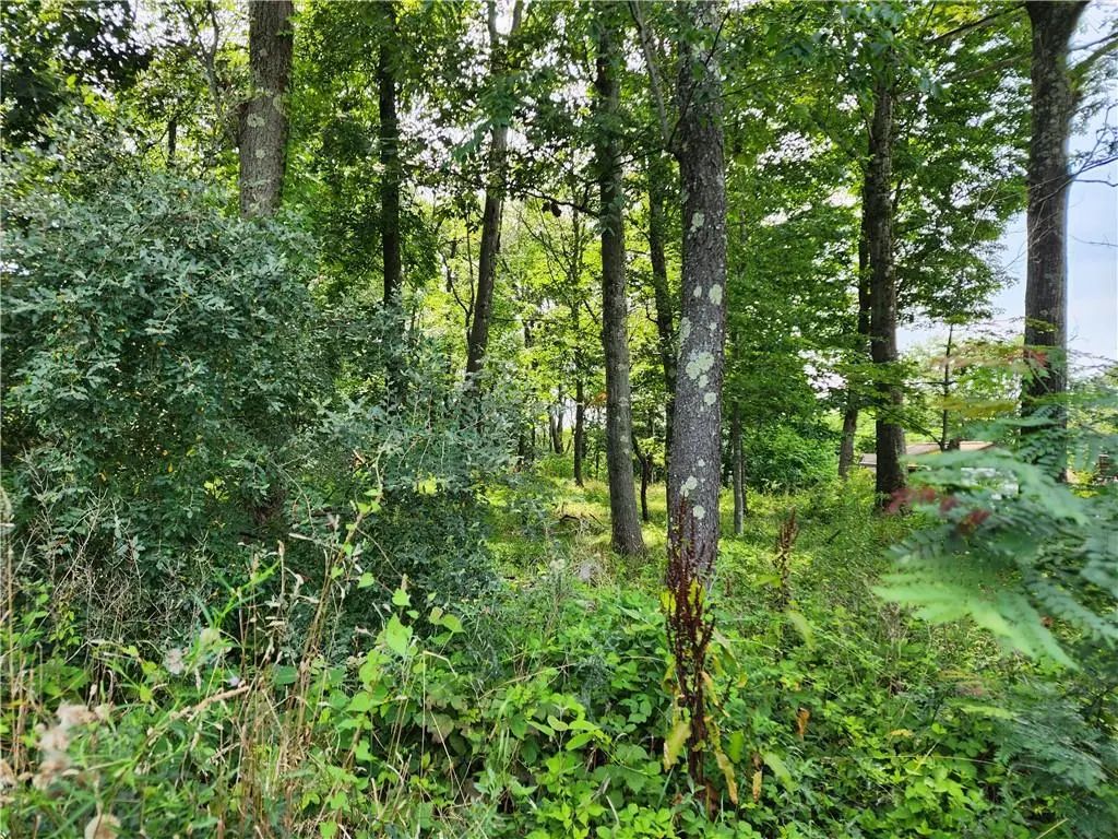 Kentview Drive, Carmel