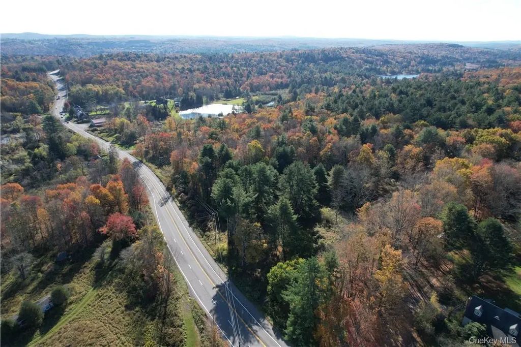 1195 Nys Route 17b, Mongaup Valley