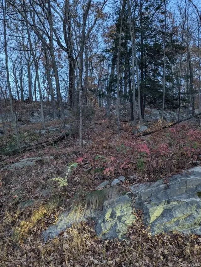 250 Hortontown Road, Hopewell Junction
