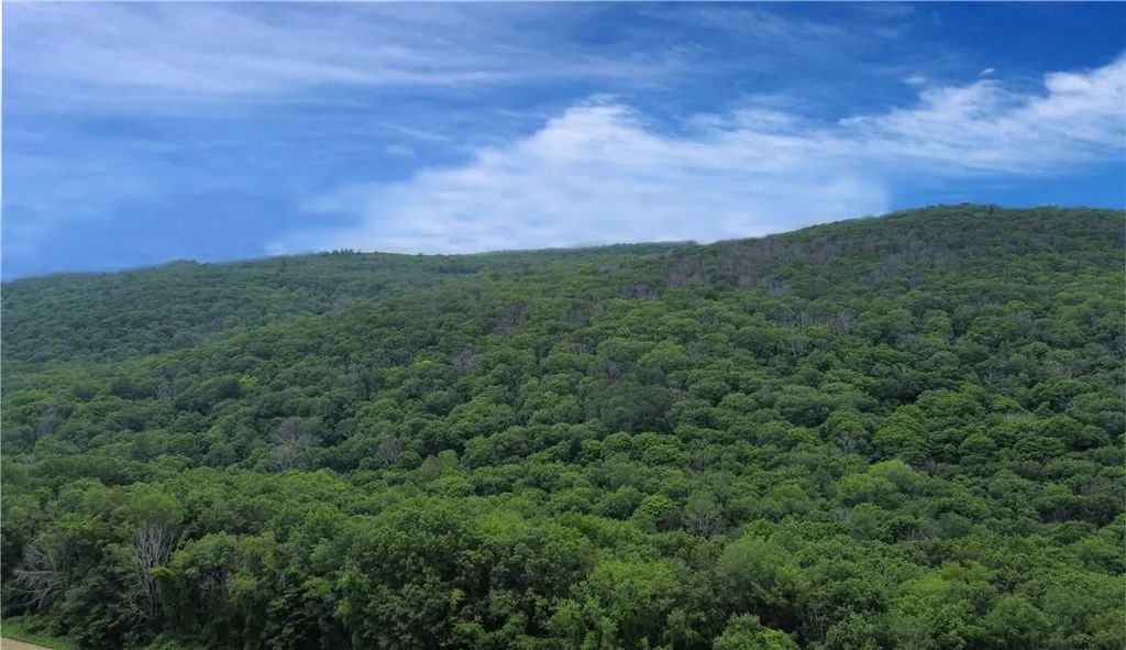 Cascade Mountain Road, Amenia