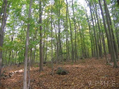 Unassigned Wiccopee Road, Putnam Valley