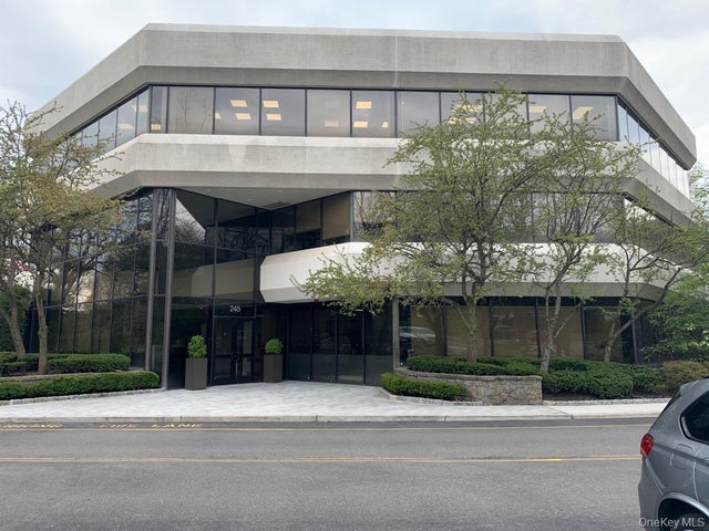 245 Saw Mill River Road # 301 & 311, Hawthorne