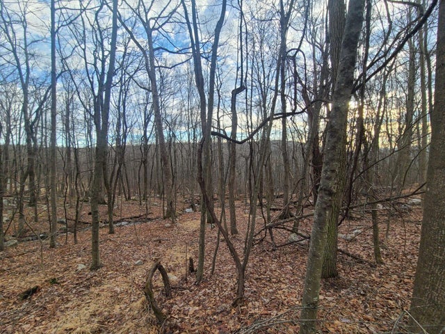 Ferguson Road, Bloomingburg