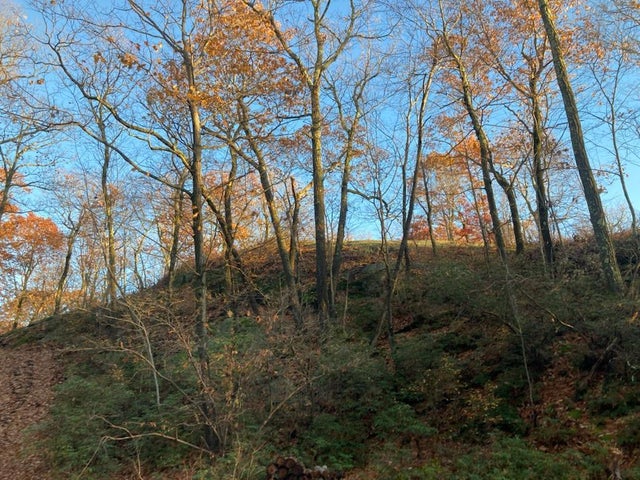 554 East Mountain North Road, Cold Spring