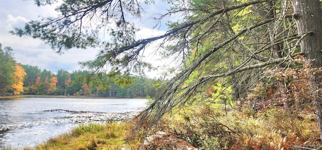 Stag Forest Road, Forestburgh
