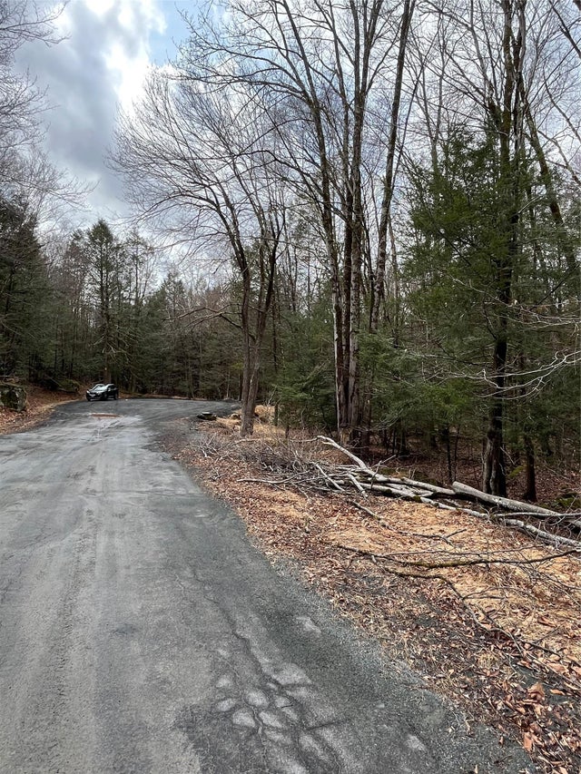 Leins Road, Fallsburg, Ny Leins Road, Fallsburg