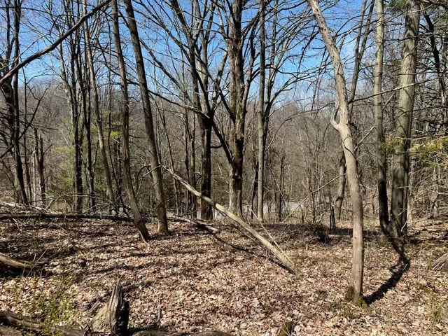 Taghkanic, Elizaville