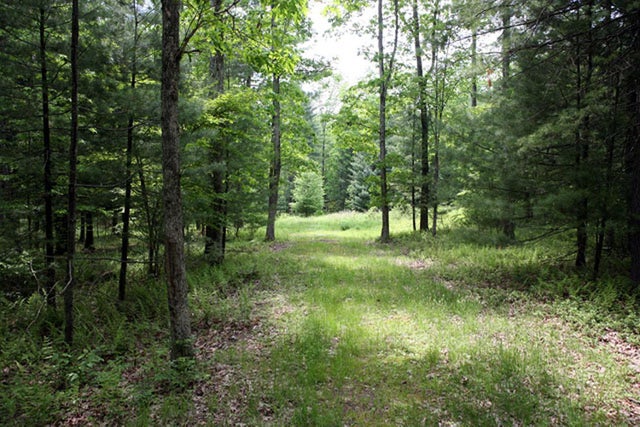 Lot 23 Serenity Drive, Callicoon